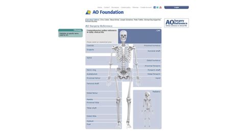 AO Foundation Surgery Reference.